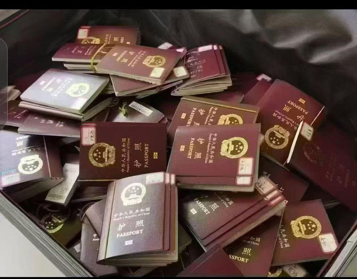 Kosei Murata 🇯🇵 tweet media