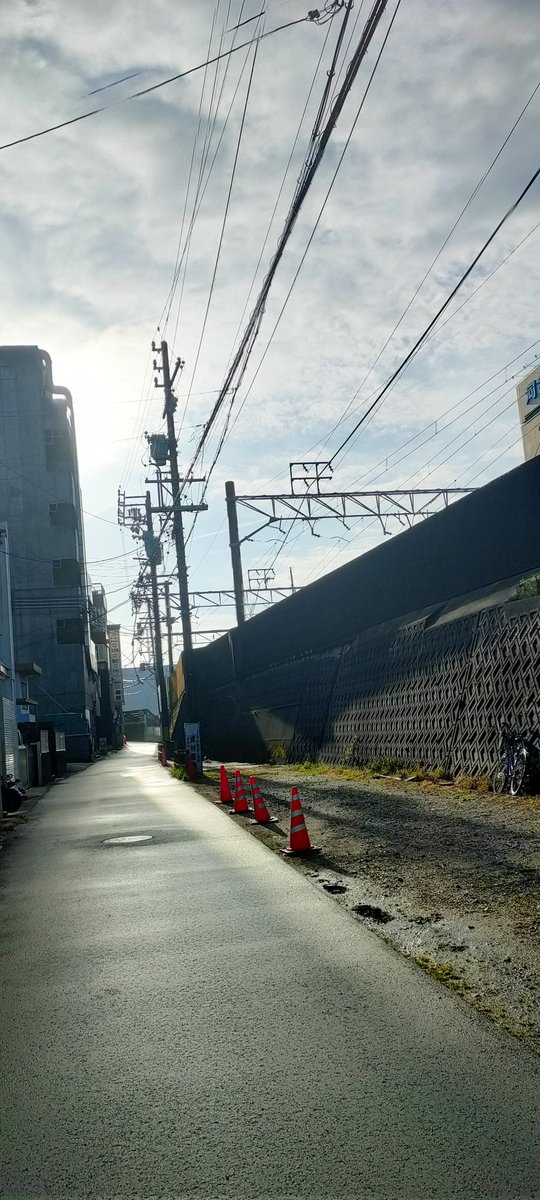 akiko100% tweet media