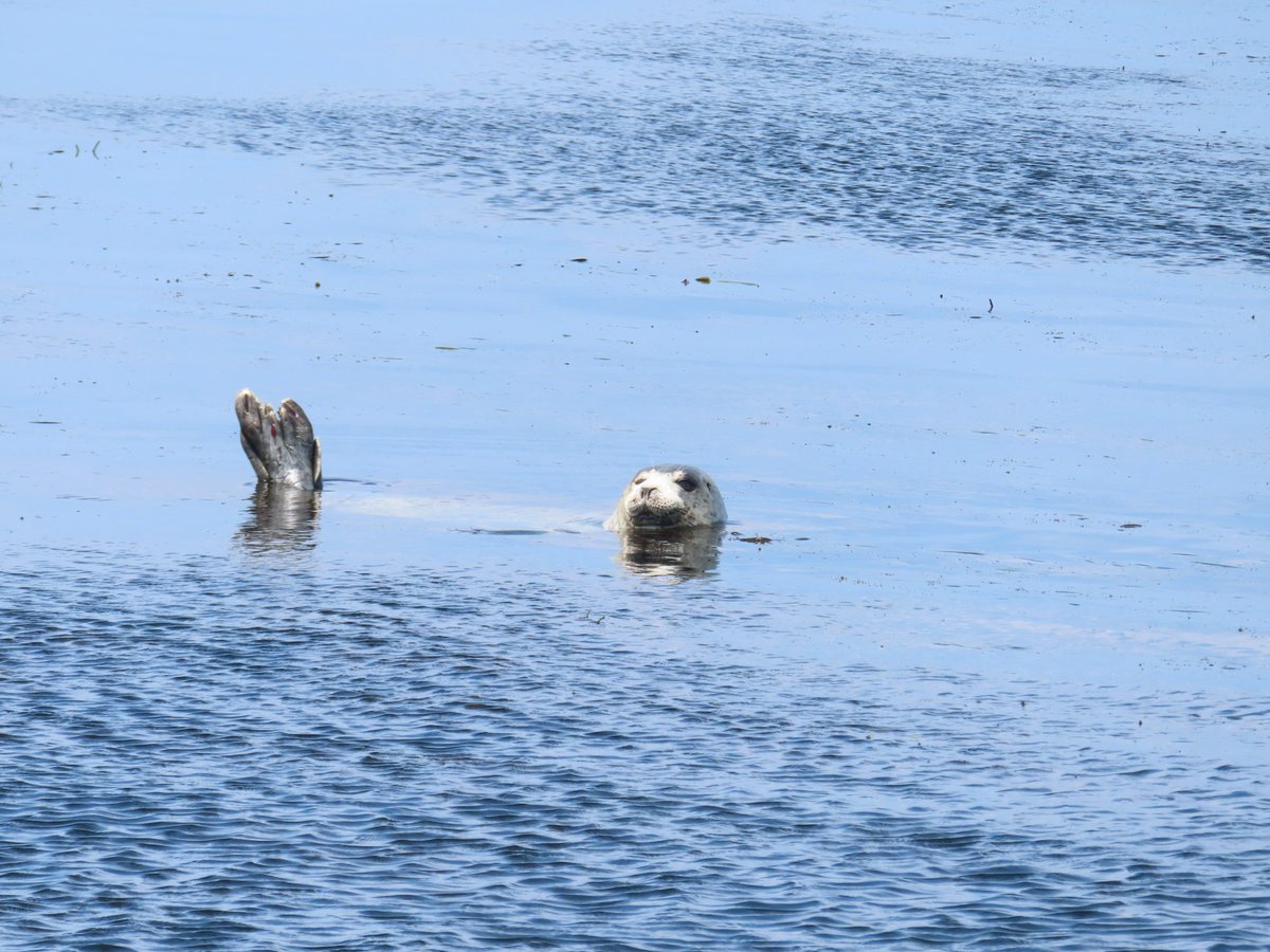 何度か訪れた中標津町。
美しい大自然が広がっていて、とても素敵な所です。
賛同いただける方は下記リンクより、署名をお願いします。

このオンライン署名に賛同をお願いします！「北海道中標津町でのメガソーラーパネル建設を中止してください」 c.org/CR5GLyt6Rc <a href="/change_jp/">Change.org Japan（チェンジ・ドット・オーグ）</a>より