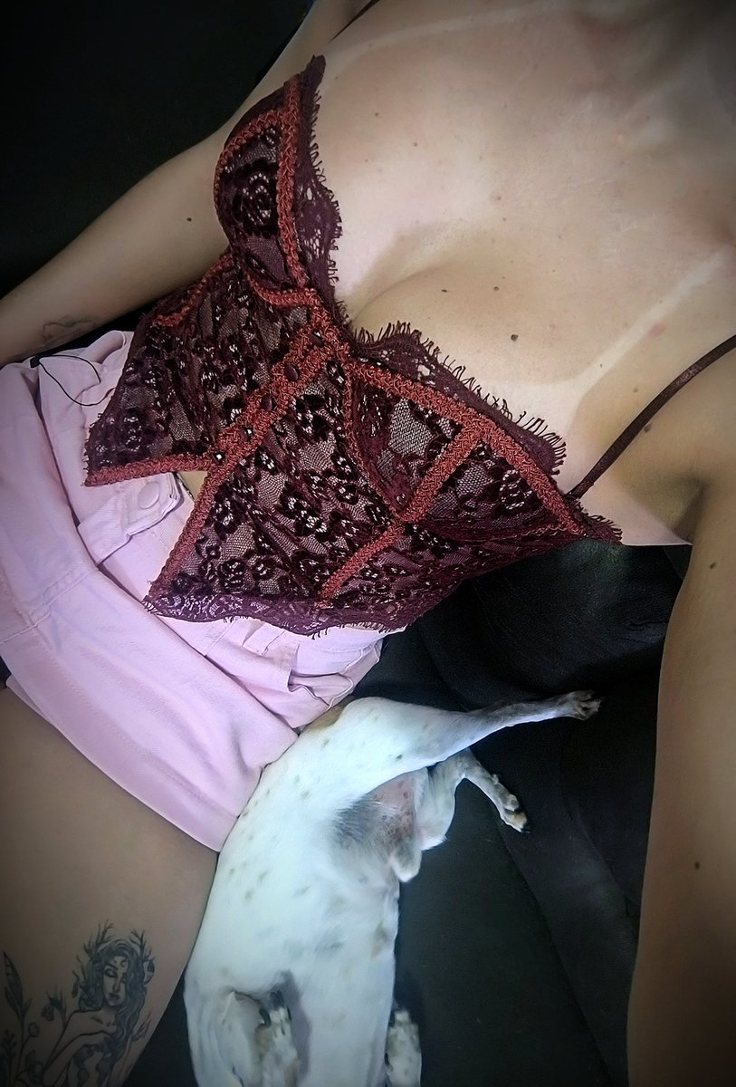 Brisinha 🍃🚩A veg e tal tweet media