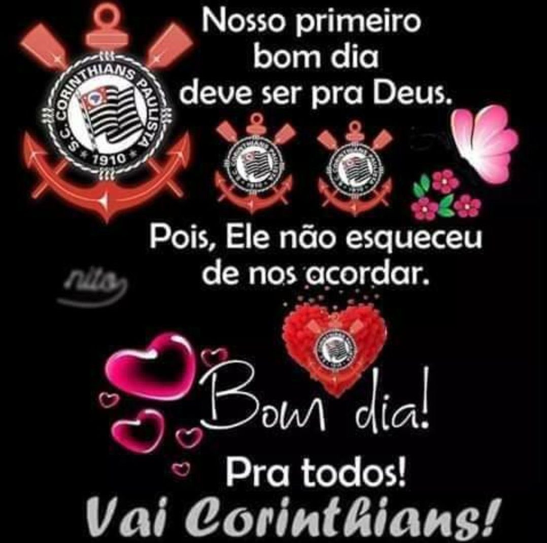 penguibou tweet media