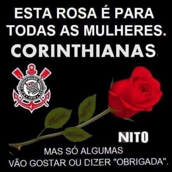 penguibou tweet media