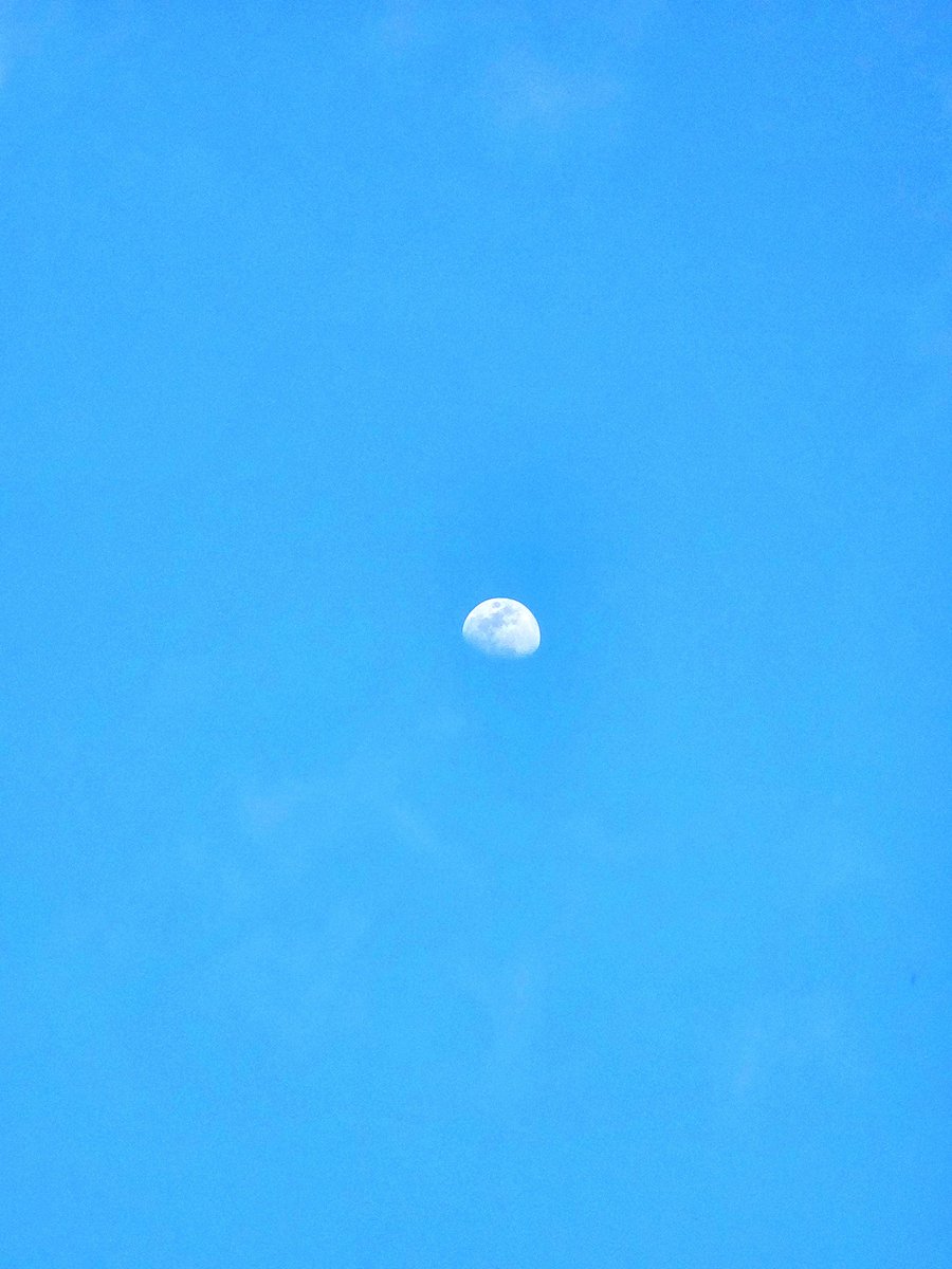 ( ﾏ ｺ ) tweet media