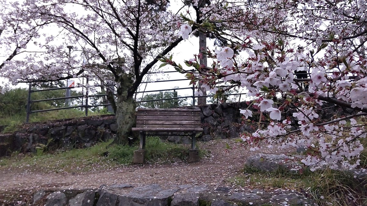 みかづき(Crescent-moon) tweet media