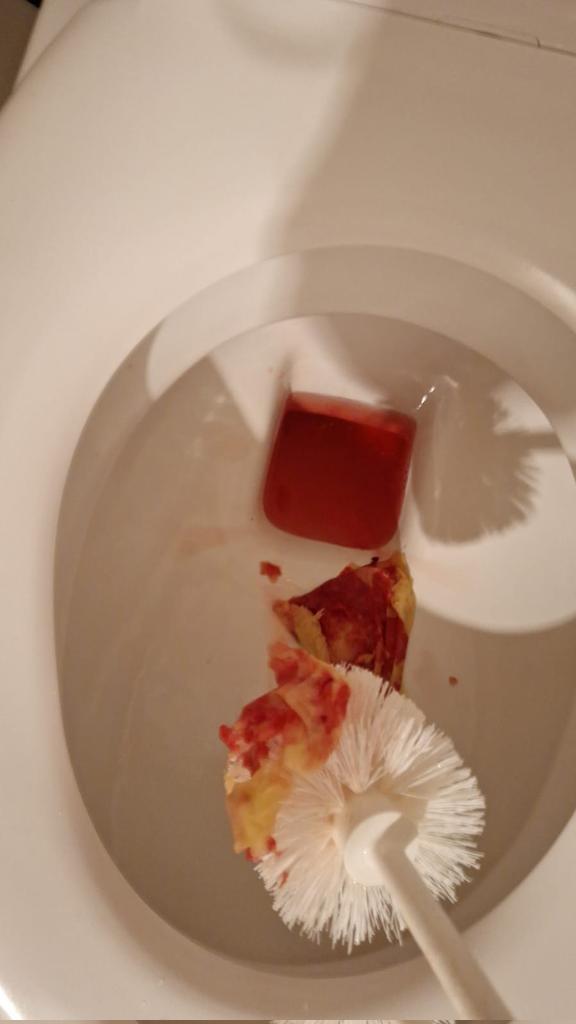 🍪mambr🐾 ૮ ˶ˆ ﻌ ˆ˶ ა tweet media