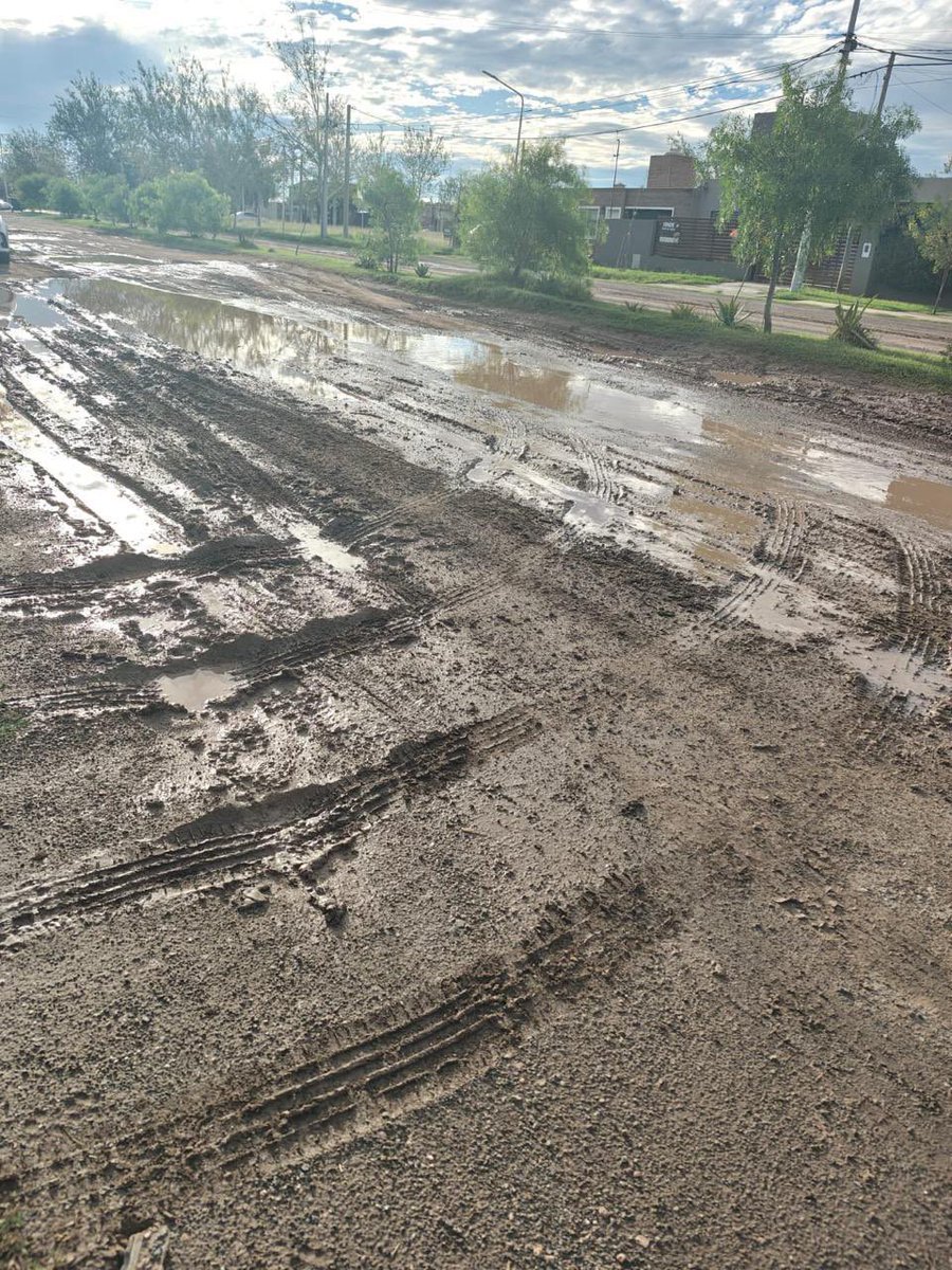 Bv. De alegría 500. Roldan
Imposible transitar y sin iluminación pública.
<a href="/elroldanense/">El Roldanense</a> <a href="/RoldanFm92/">Roldán Fm 92</a> <a href="/canal4regional/">CANAL 4 REGIONAL</a>