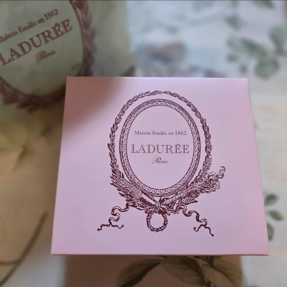 CIEL𓆙💫 tweet media