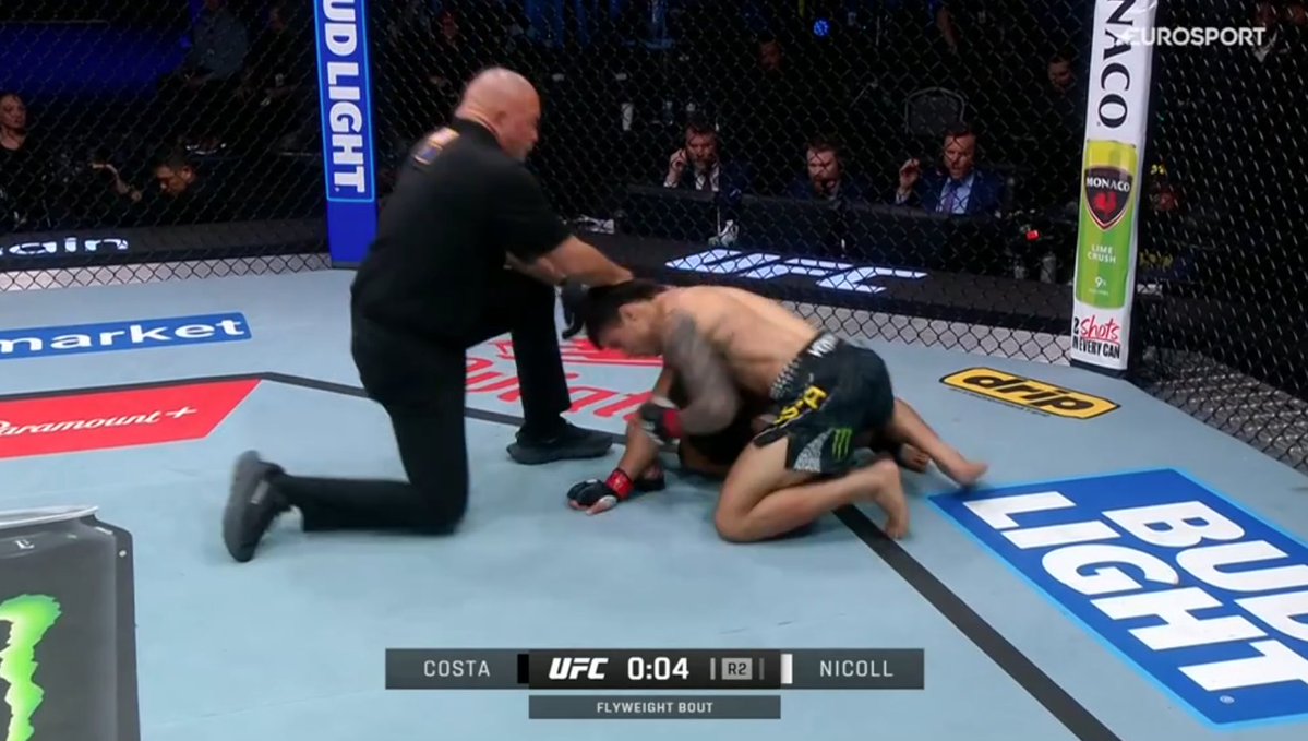 Pelunaton tweet media