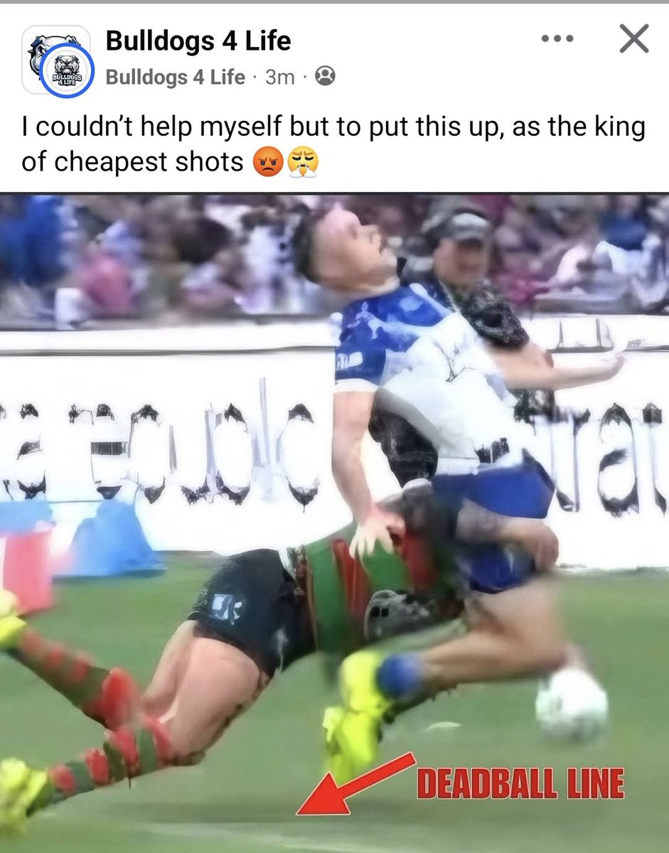 Big Dog 1935 tweet media