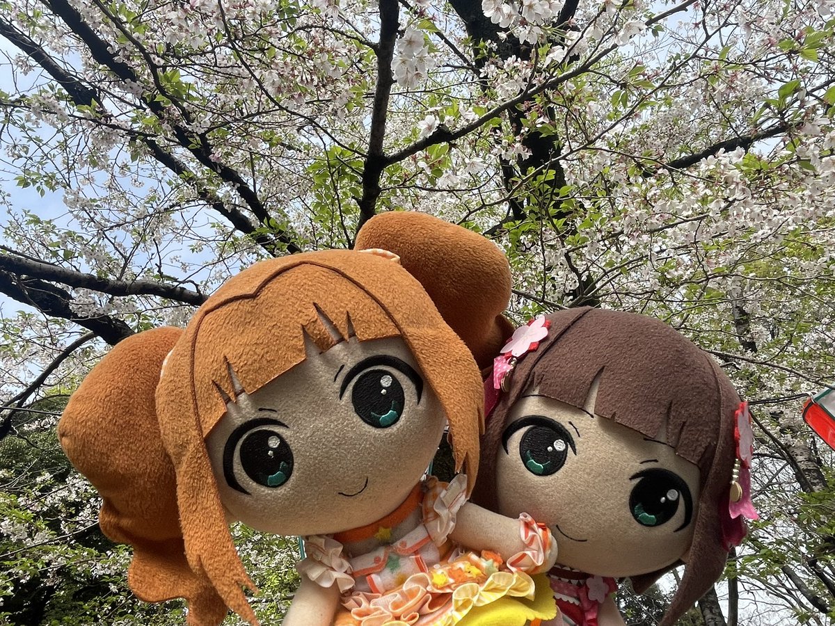 ヒロキP tweet media