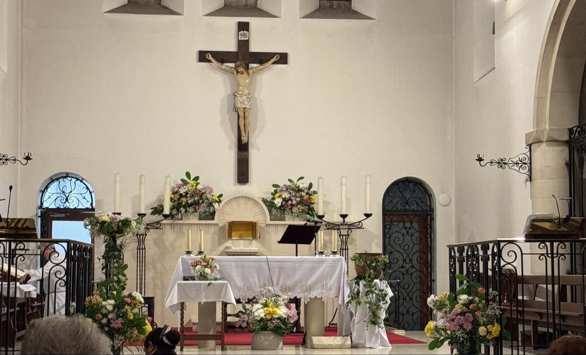 Coco & Skippy Mini Schnauzers tweet media