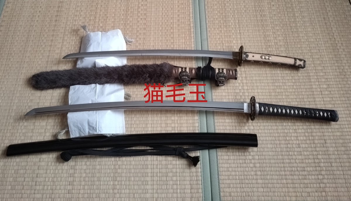 猫毛玉 tweet media