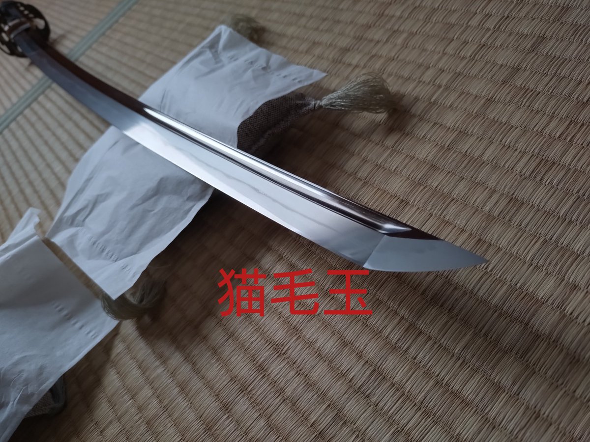 猫毛玉 tweet media