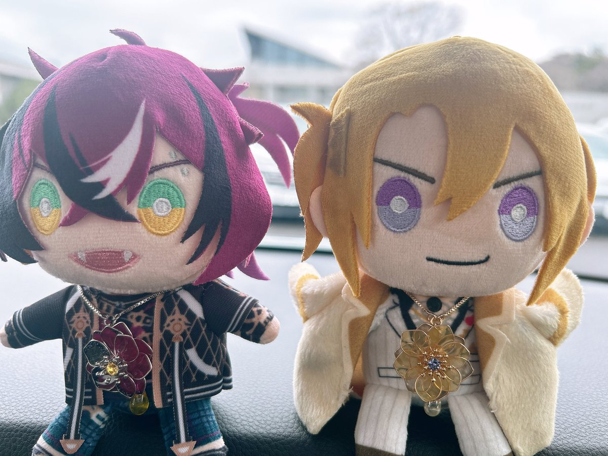 れぃ汰 tweet media