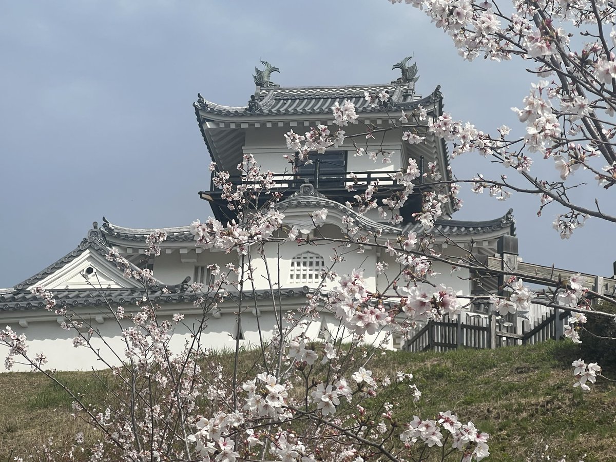 ごらく tweet media