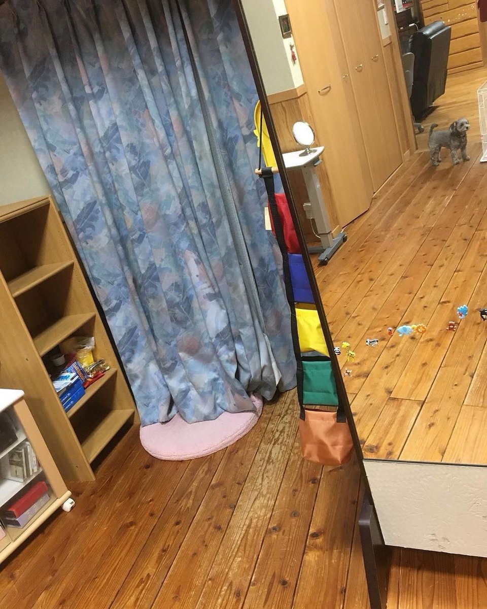 しゅんちゃん tweet media