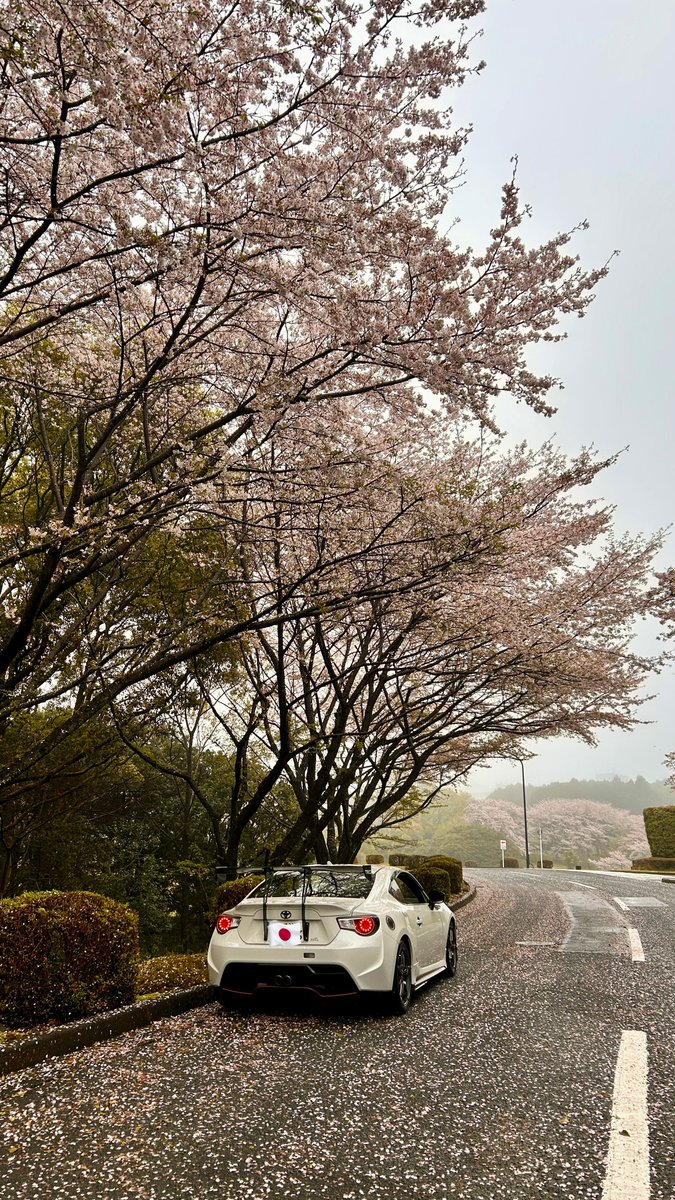 しおちゃん tweet media