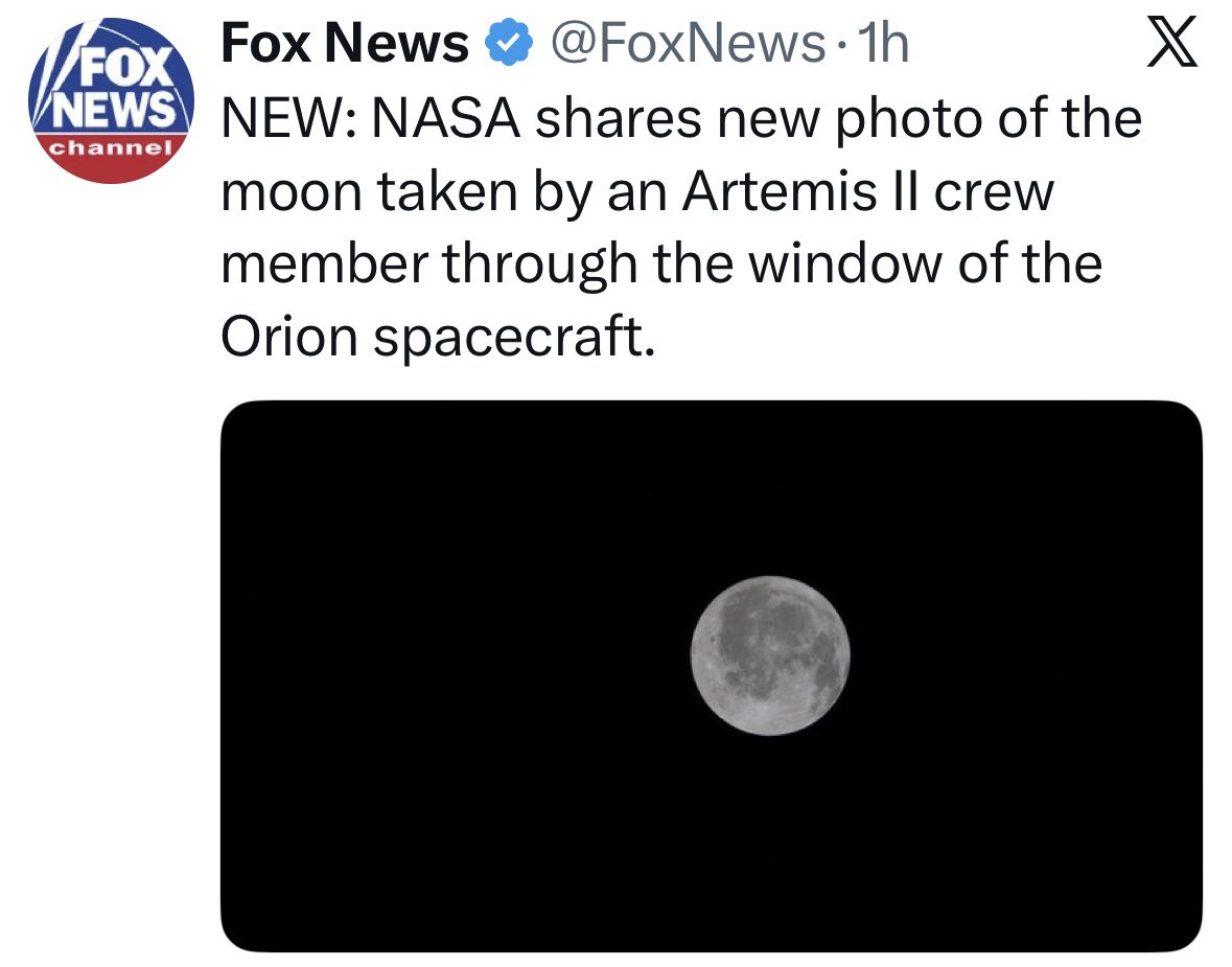 Mindy MF Robinson 🦄 tweet media