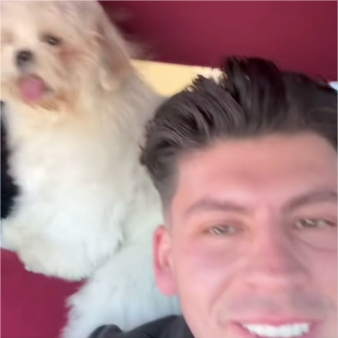 Ruize_5470🍞🦍 tweet media