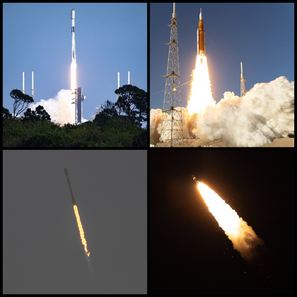 Ryan Bale tweet media