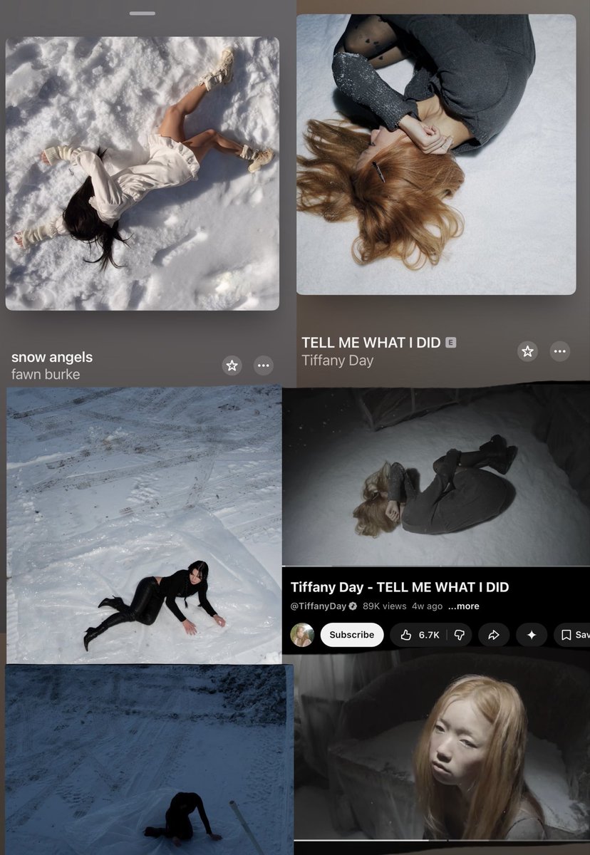 fawn burke tweet media