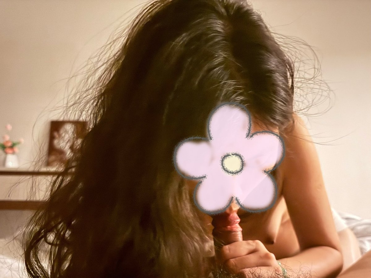 四季桂 tweet media