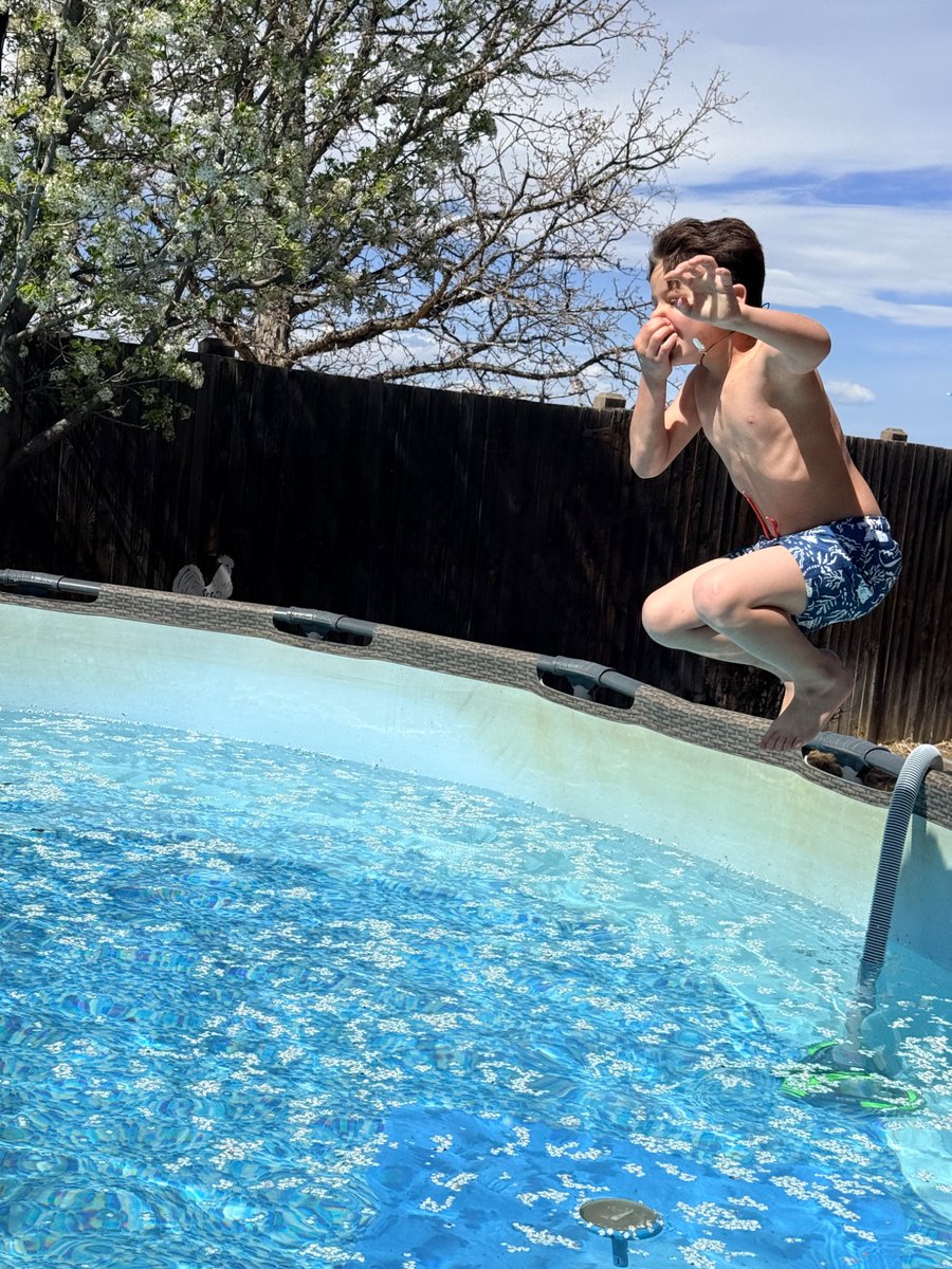 Jeff Levis tweet media