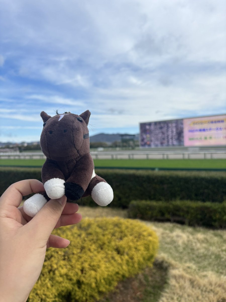 大阪杯来たー！トウカイテイオー連れてきた

クロワデュノール頑張れ！！！