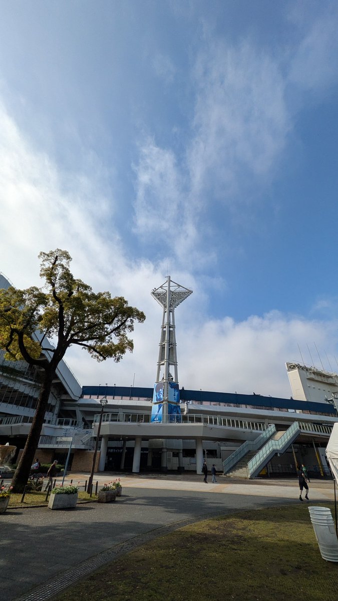 じんらい🍓@サラダパン🍓 tweet media