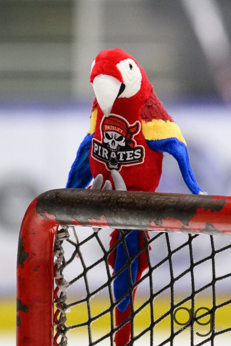 Paisley Pirates tweet media