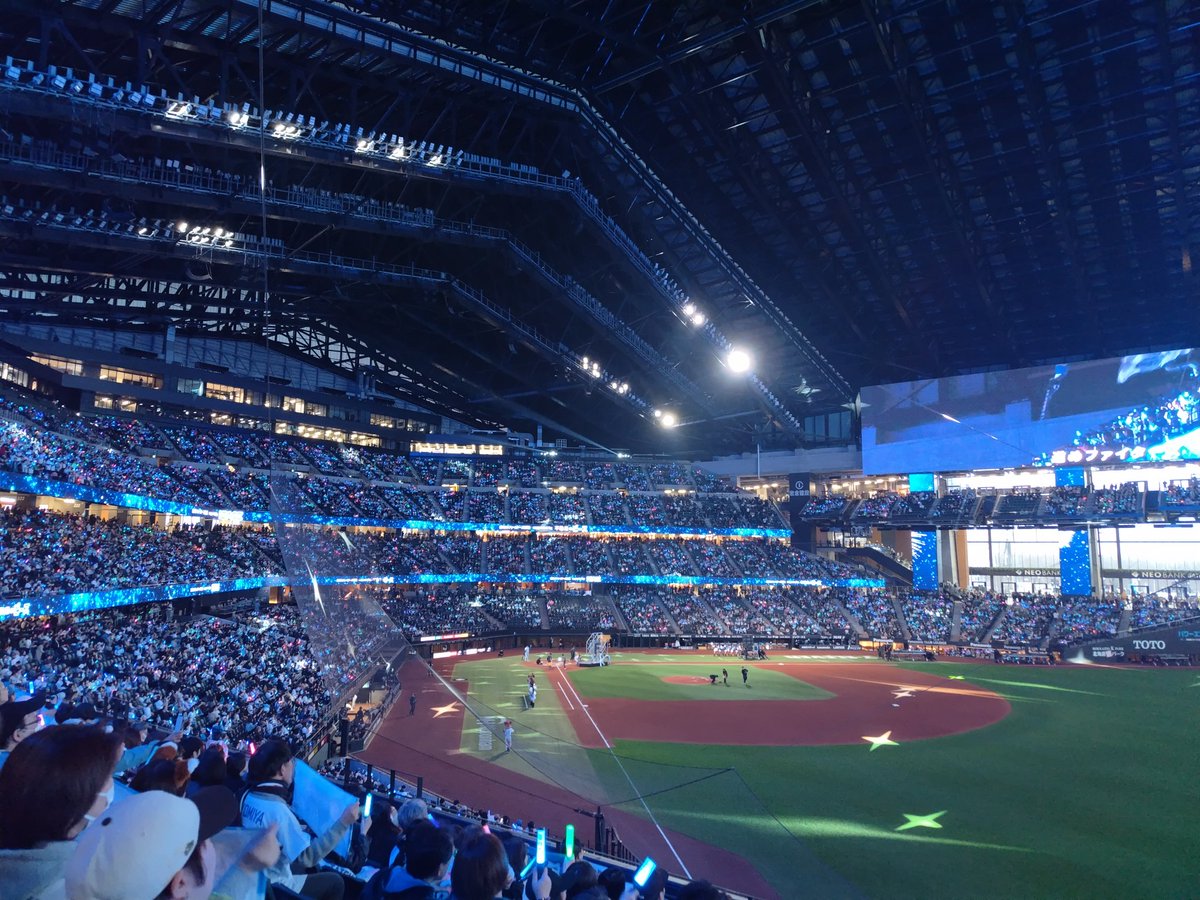 DP@カメハメハ🐴🦊💃⛵️ tweet media