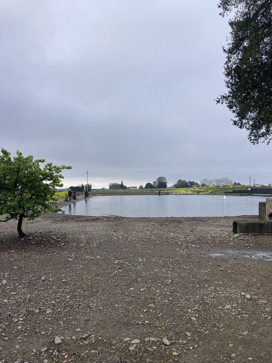 いしはら tweet media