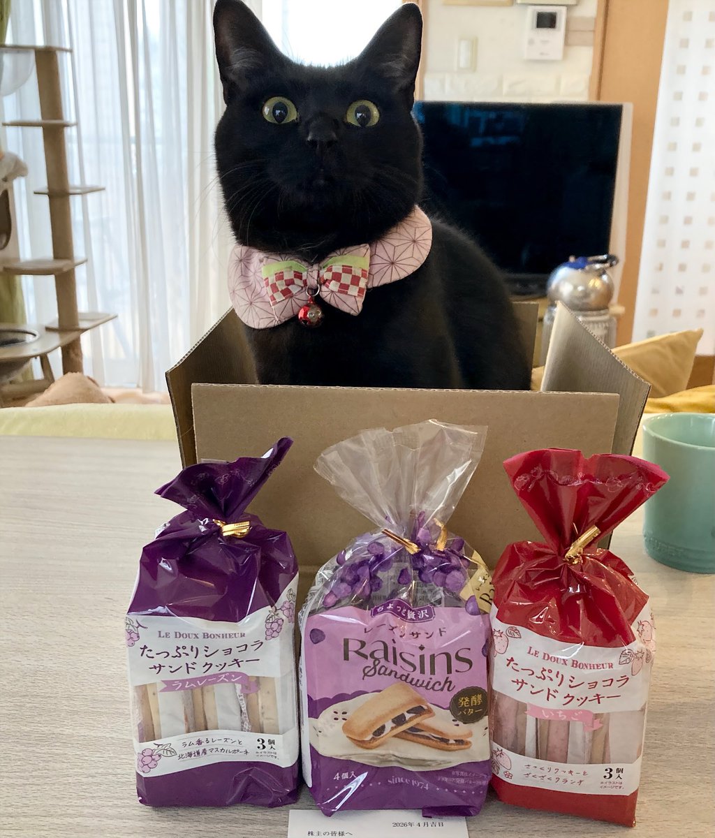 なっちゅ【黒猫家族】🐈⬛🪼 tweet media