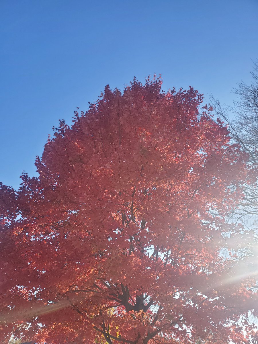 Vibe machine tweet media