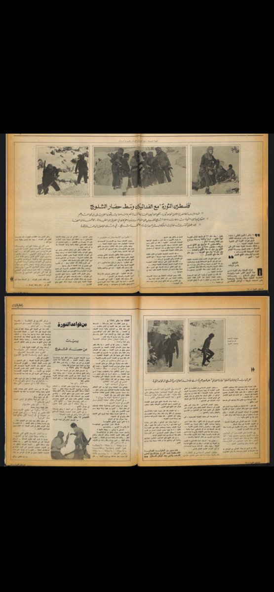 🇵🇸🇵🇸🇵🇸𐤀𐤊𐤉𐤔 tweet media