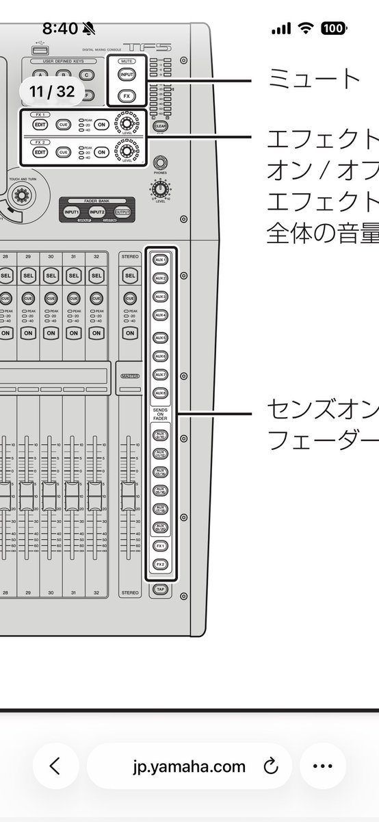 シーマンですよ@4/18 奥井雅美 tweet media
