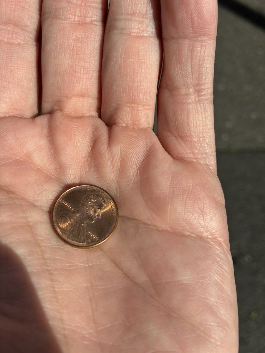 さかなまん@人類背泳ぎ化計画(´・ω・) tweet media