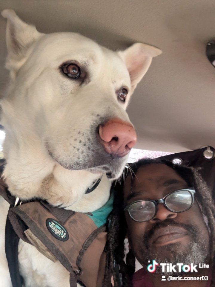 Eric Conner tweet media