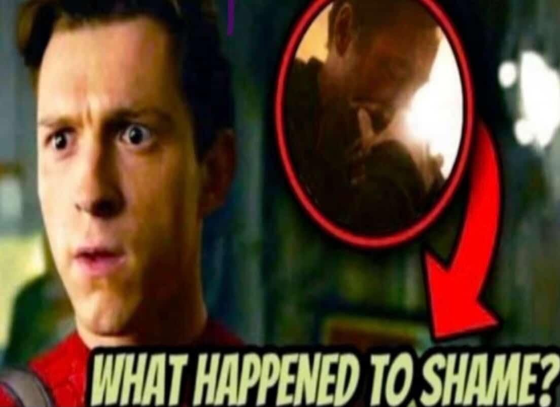 🌬️fluttershy🪽 tweet media