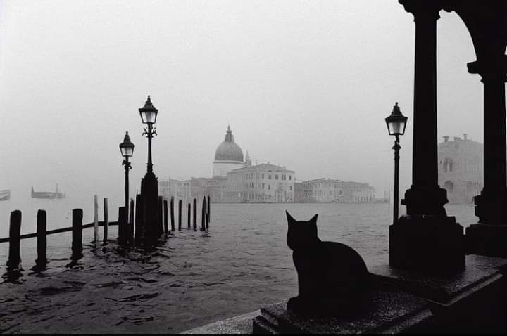 ♤NoMoore♤ tweet media