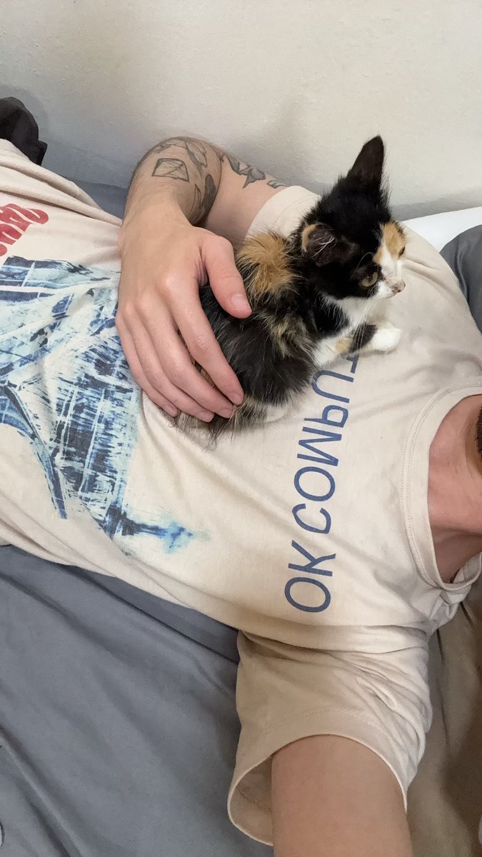 salamandras's tweet photo. acho que adotar um gatinho foi uma das melhores coisas que fiz na minha vida 🤒❤️‍🩹 https://t.co/cjVYPZMUYV