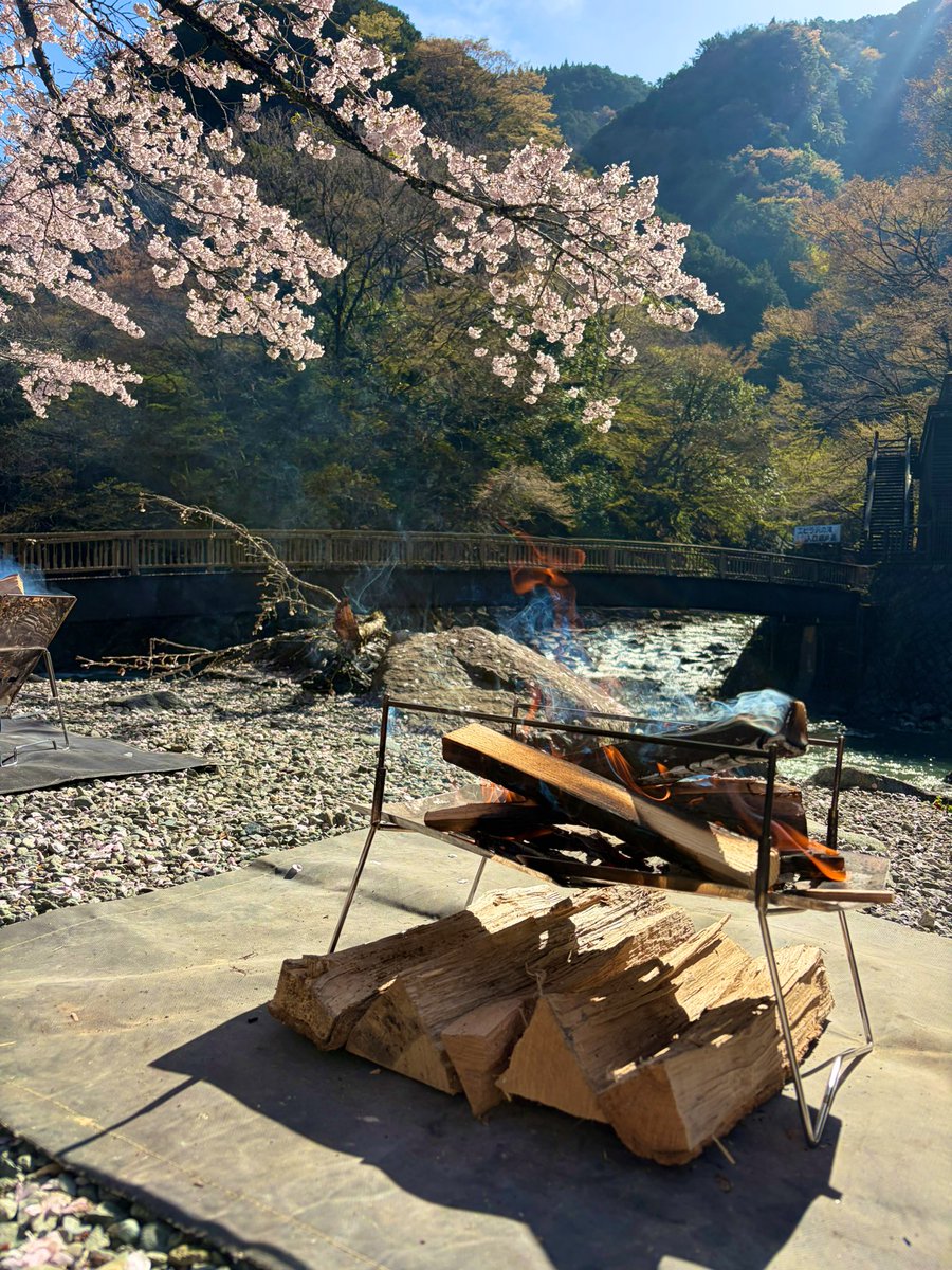 エルタCAMP△ tweet media