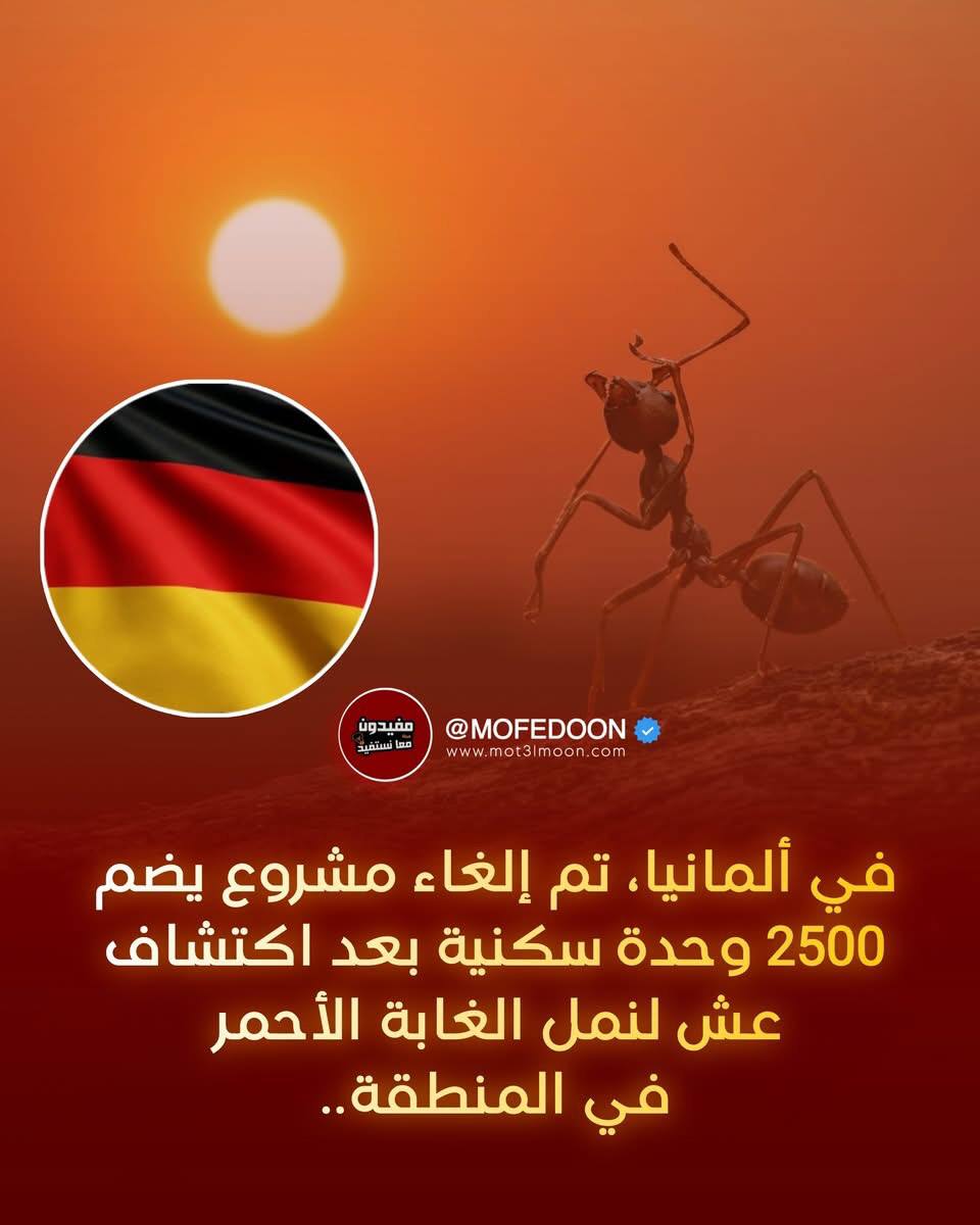 عمو حاتم tweet media