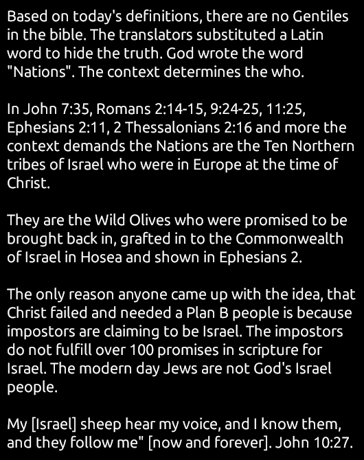 Tim Coucke tweet media