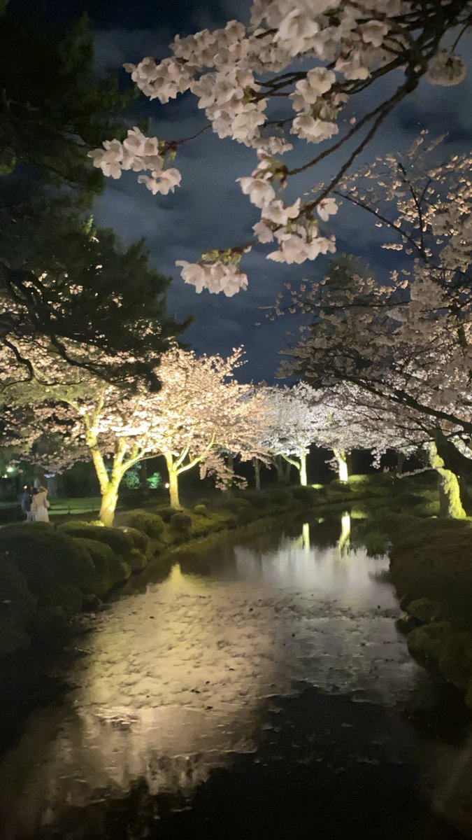 有吉かいゆ tweet media