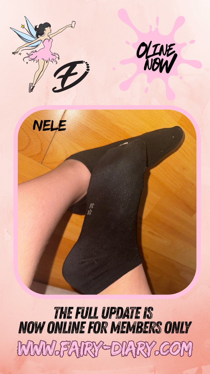 fairy-diary tweet media