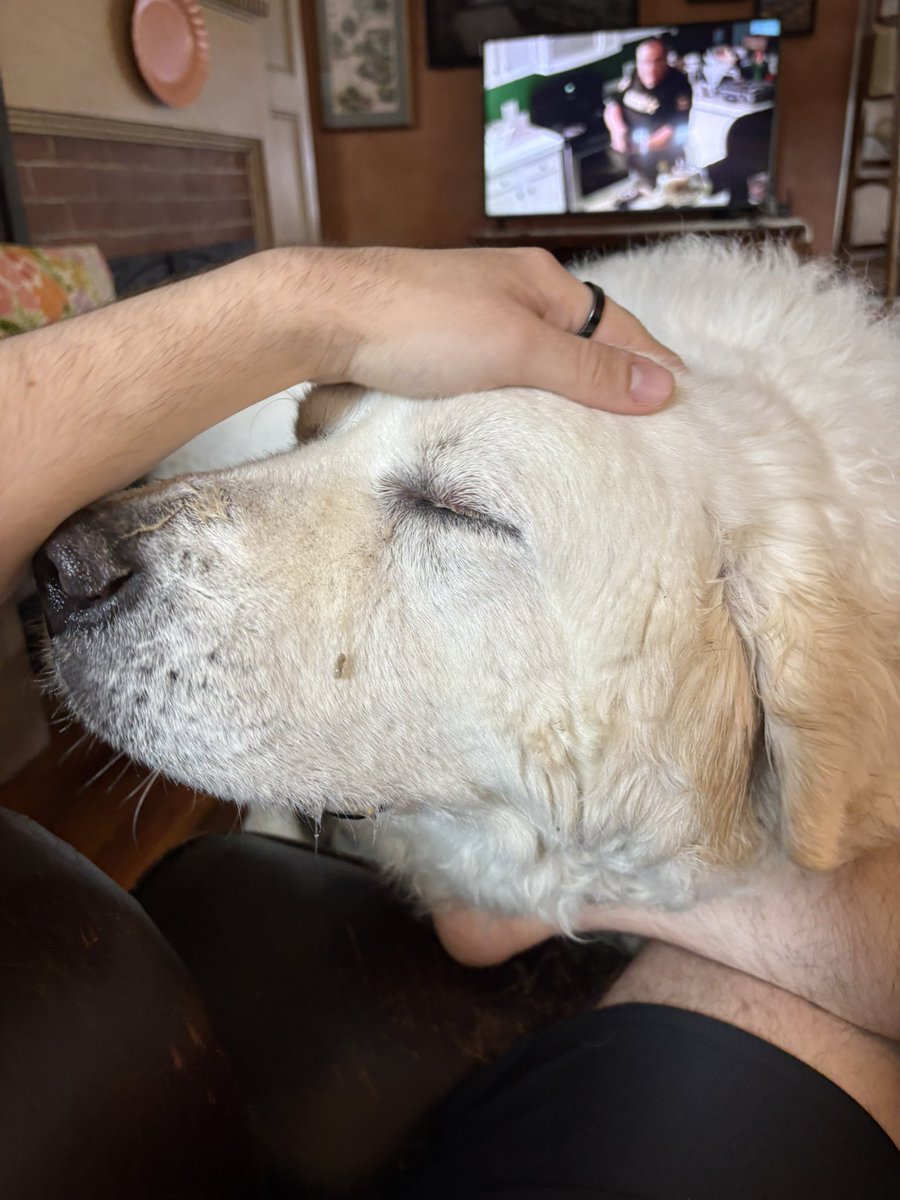 Dimension tweet media