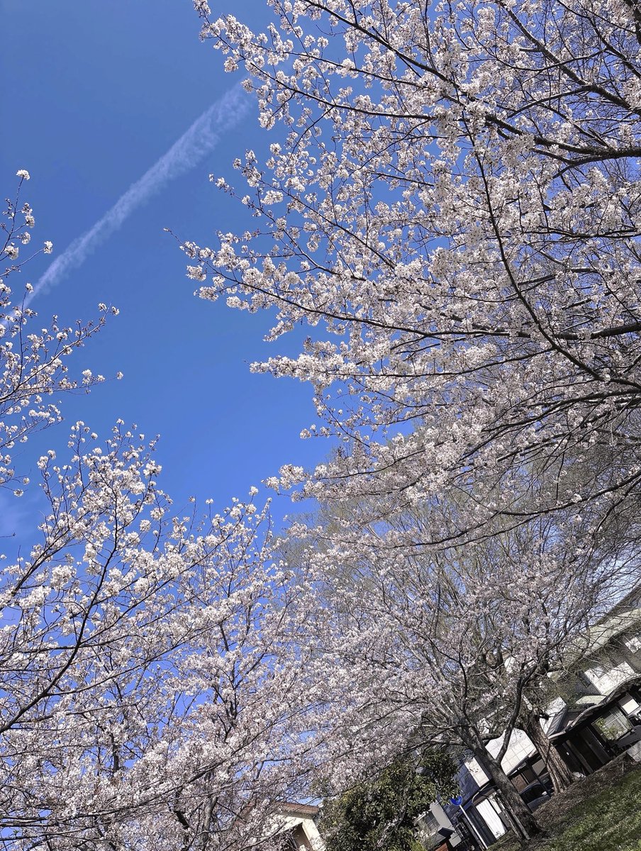 ใดใผใกใ
ใใ๐ฃใใฉใใ๏ผๆฅๅธธๅข๐ฃโจ tweet media