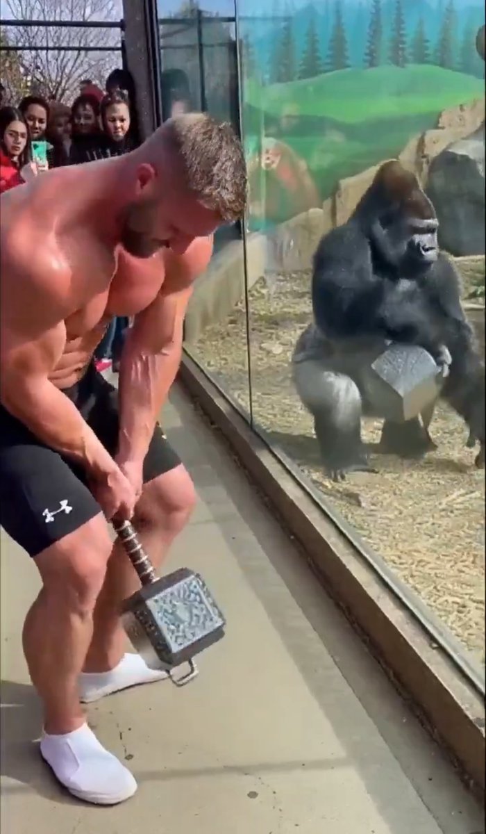 Mr. Roons tweet media