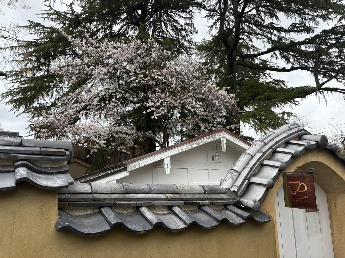 びっちー tweet media